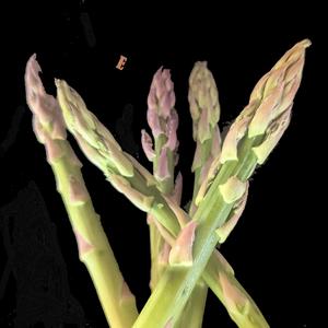 Breh (feat. Baynayah McConnel & Sean Raeside)