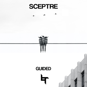 Guided