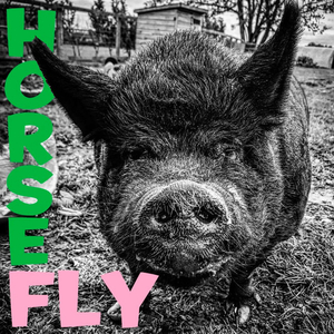 Walking in the Shadows