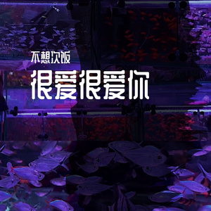 很爱很爱你