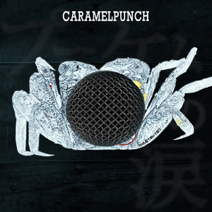 プーケムの涙 (feat. 塩で焼いて唄う)