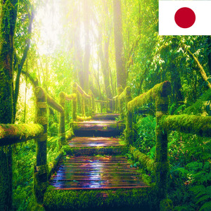 雨後のタイのジャングルの音