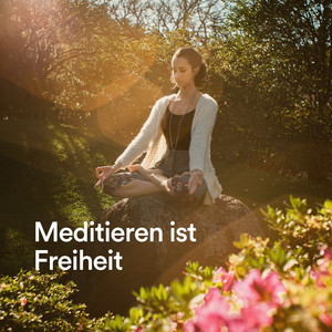Meditiere und höre Vogellieder