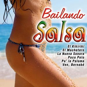 La Vida Es un Carnaval