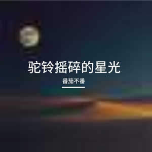 《驼铃摇碎的星光》