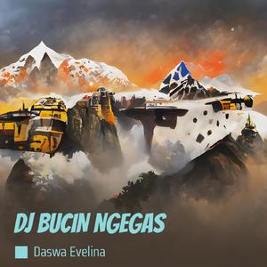 Dj Bucin Ngegas