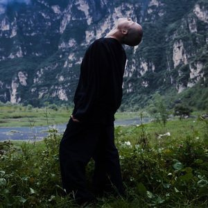 比人还神智不清的鹤和被杀死的时候