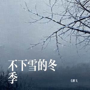 不下雪的冬季