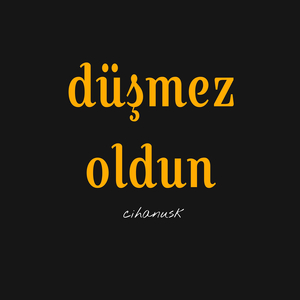 Düşmez Oldun