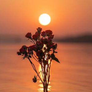 XxMs.-rentz-alone(3D 环绕 remix)（那束花本是给她 remix）