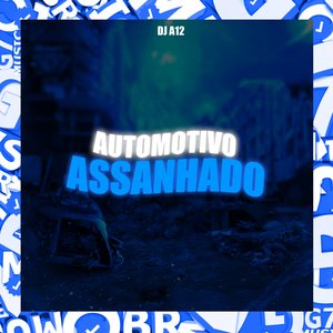 AUTOMOTIVO ASSANHADO