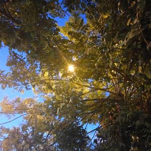 Break  me(Prod.by Rick1y)