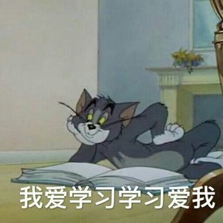 高中英语考纲词汇3500(RJ版)