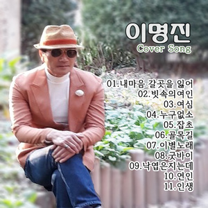 인생 (이것이 인생이다)