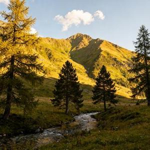 吻和泪 (Cover 梨子芥菜)
