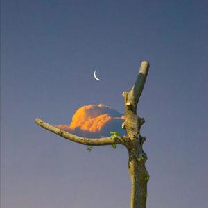 理想三旬（女声版）