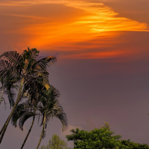 Tresnoku, Sayangku Neng Kowe