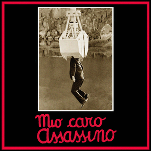 Mio caro assassino
