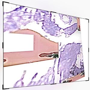 布拉德逃课(bludtalkremake)