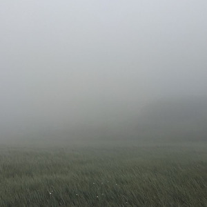 ¿Sentirás Algo por Mi?