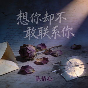 想你却不敢联系你