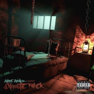 DXMESTIC F#CK (feat. HaiiPuff)