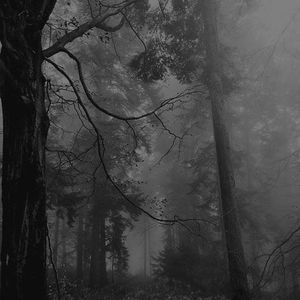 【FREE】“着迷" Piano Trap Type Beat