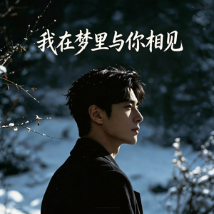 我在梦里与你相见