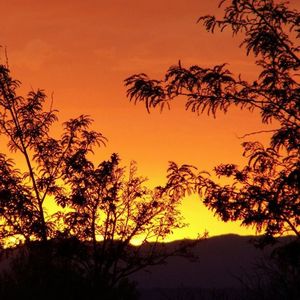 我拿青春爱过人