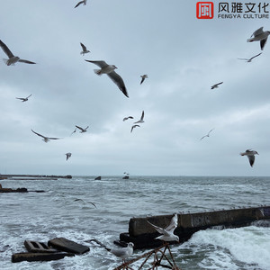 适合舒缓安静地方播放轻音乐 -钢琴