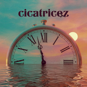 cicatricez