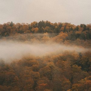 A Gentle Home Within