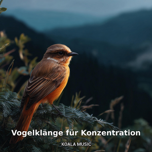 fokussierende Vogelgeräusche für Geist und Klarheit, Pt.14