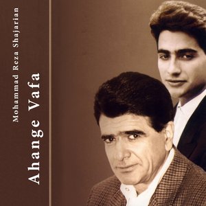 Solo Barbat Delkash Ba Ghateh ye Se Mezrab