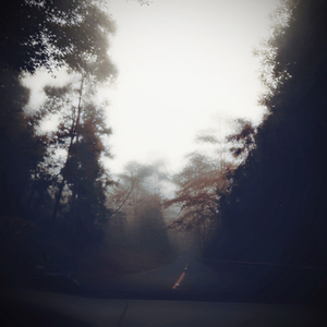 ｛Before Long｝
