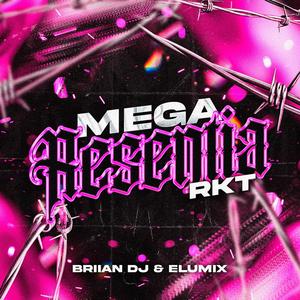 Mega Resentia (feat. BRIIAN DJ)