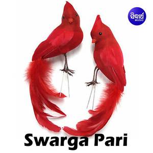 Chauda Na Gori Tate Chabisi