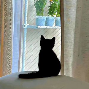 星星泡饭（清唱版）