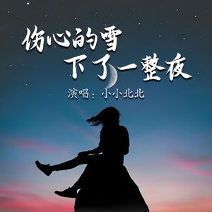 伤心的雪下了一整夜