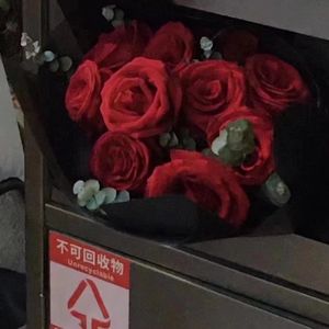 不二臣（吉他版）