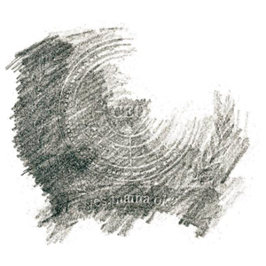 Wild Turkey (feat. 片岡知子)