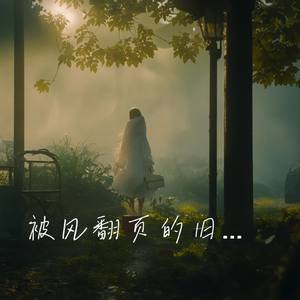 被风翻页的旧时光