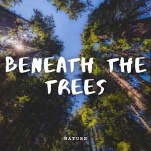 Eco Friendly Environment