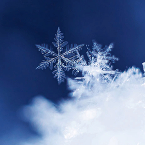 Hackers (Beat Them All)