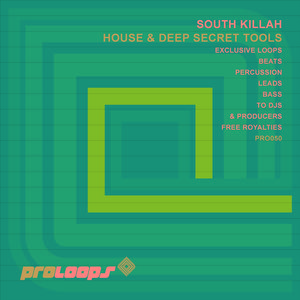 House & Deep Secret Synth 128