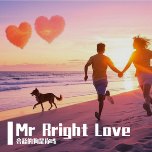 Mr Right Love