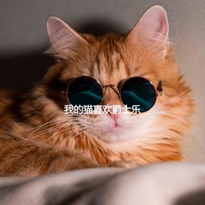 Wicked Cat Anxieties