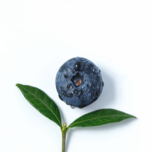 蓝莓
