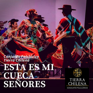 Arremangate el Vestido