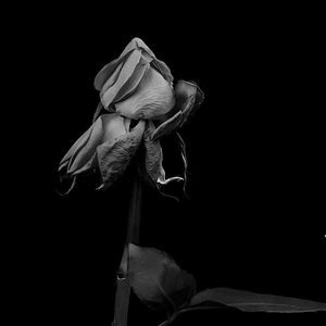 周杰伦“骑士精神” trap pop beat